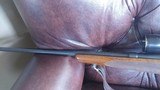 Winchester Model 70 Pre-65 264 Magnum - 7 of 11