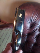 Winchester 101 Live Bird Gun NIB - 9 of 14