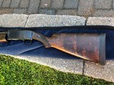 Winchester M12 BLACK DIAMOND TRAP-1924-Long Forend-VG overall. Nice gun! - 9 of 9