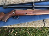 Winchester Model 52 Pre-A Sporter .22 LR-scarce gun and priced to sell! - 4 of 8