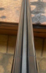 Ruger Gold label 12 gauge - 8 of 9