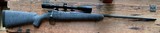 Cooper model 52with z5 Swarovski scope - 1 of 12