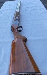 Immaculate Superposed 20 - 8 of 15