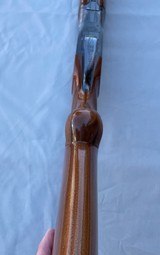 Immaculate Superposed 20 - 4 of 15