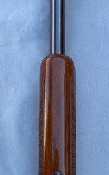 Immaculate Superposed 20 - 6 of 15