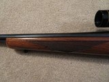 Ruger 77/22, 22 Hornet - 6 of 6