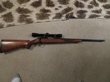 Ruger 77/22, 22 Hornet - 1 of 6