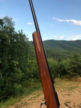 Kimber of Oregon 82. 22 Hornet - 3 of 7