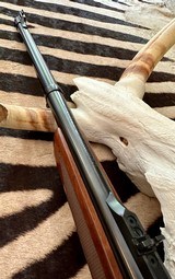 Ruger No. 1 375 H&H Tropical - 9 of 15