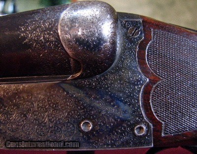 Charles Daly 12 Gauge    - Image 17 of 17