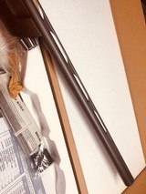 Winchester Super X3 20 Gauge Walnut Field - Made by FN Belgium - 7 of 17