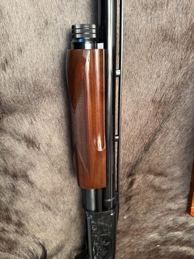 Engraved Browning BPS 12ga, 26