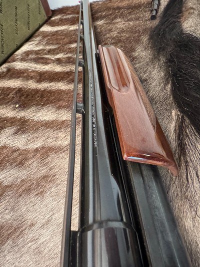 Engraved Browning BPS 12ga, 26