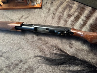 Engraved Browning BPS 12ga, 26