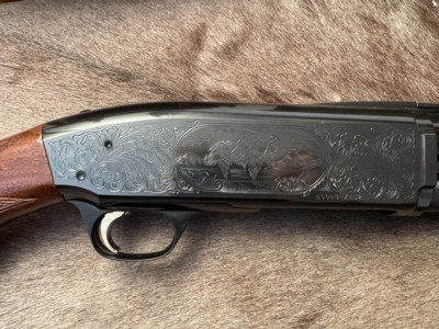 Engraved Browning BPS 12ga, 26