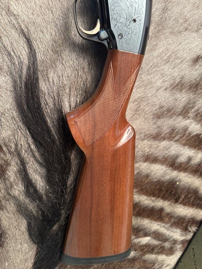 Engraved Browning BPS 12ga, 26