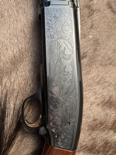 Engraved Browning BPS 12ga, 26