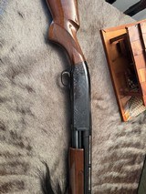 Engraved Browning BPS 12ga, 26