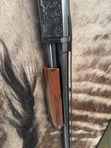 Engraved Browning BPS 12ga, 26