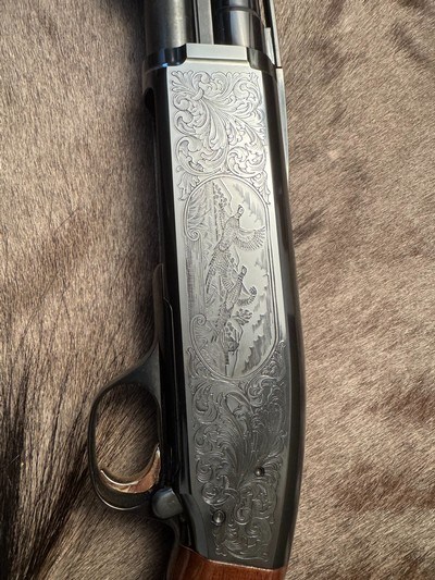 Engraved Browning BPS 12ga, 26