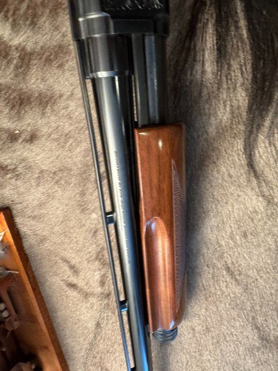 Engraved Browning BPS 12ga, 26