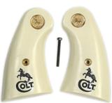 Colt Python I Frame Laser Engraved & Medallions - 1 of 1