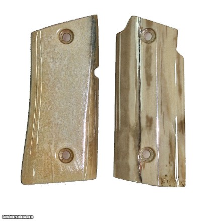 Colt Mustang or Colt Pocketlite Real Fossilized Walrus Ivory Grips