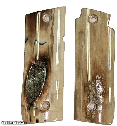 Colt Government Model .380 or Colt Mustang Plus II Fossilized Walrus Ivory Grips