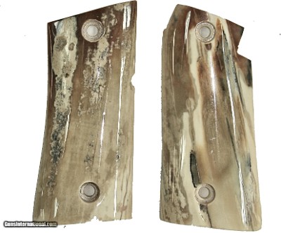 Colt Mustang or Colt Pocketlite Real Fossilized Walrus Ivory Grips