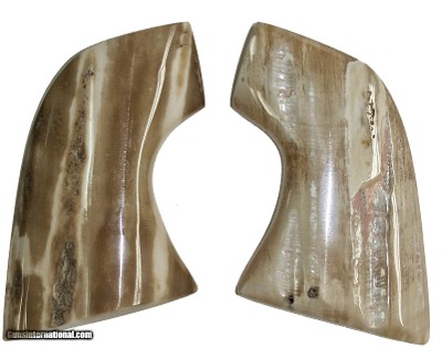 Colt SAA Oversize Real Fossilized Alaskan Walrus Ivory Grips