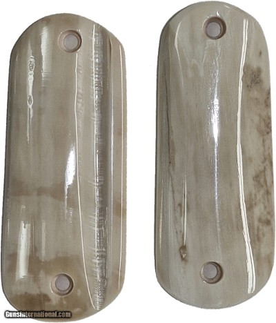 Colt 1902 Hammer Auto Fossilized Alaskan Walrus Ivory Grips