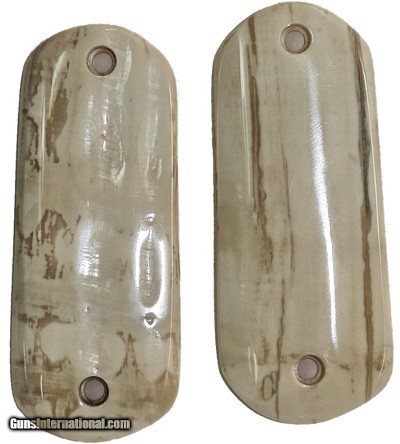 Colt 1902 Hammer Auto Fossilized Alaskan Walrus Ivory Grips