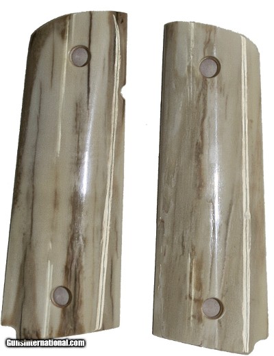 Colt 1911 Real Fossilized Alaskan Walrus Ivory Grips