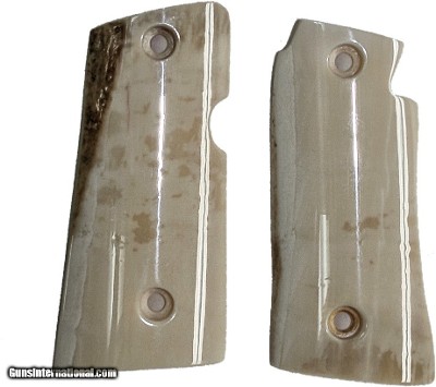 Colt Mustang or Colt Pocketlite Real Fossilized Walrus Ivory Grips