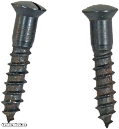 Large Butt Plate Screws, 20 Screws