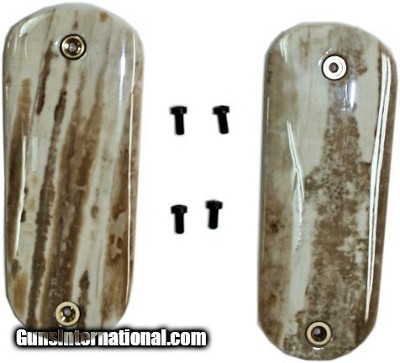 Colt 1902 Hammer Auto Fossilized Alaskan Walrus Ivory Grips