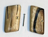 Colt .25 Auto Vest Pocket Alaskan Mammoth Ivory Grips