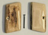 Colt .25 Auto Vest Pocket Alaskan Mammoth Ivory Grips