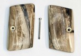 Colt .25 Auto Vest Pocket Alaskan Mammoth Ivory Grips