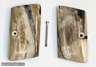 Colt .25 Auto Vest Pocket Alaskan Mammoth Ivory Grips