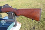 Springfield Armory - 7 of 14