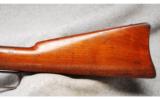 Winchester Mod 1873
.44WCF - 5 of 7