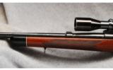 Winchester Mod 70 .270 WCF Pre-64 - 7 of 7