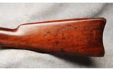 Springfield 1884 Cadet Rifle .45-70 - 5 of 7