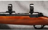 Ruger M77 RSI .243 Win - 3 of 7
