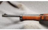 Mauser DSM 34
.22 LR - 7 of 7