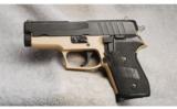 Sig Sauer P245 .45 ACP - 2 of 2