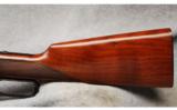 Winchester Mod 1895
.405 Win - 5 of 7