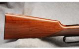 Winchester Mod 1895
.405 Win - 6 of 7