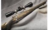 Ruger M77 Hawkeye .204 Ruger - 7 of 7